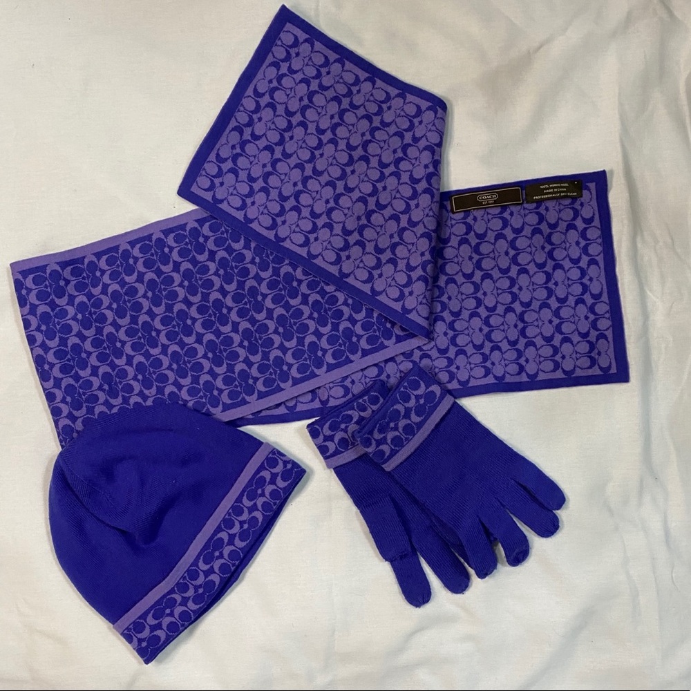 Purple Coach Hat, Scarf, and Gloves